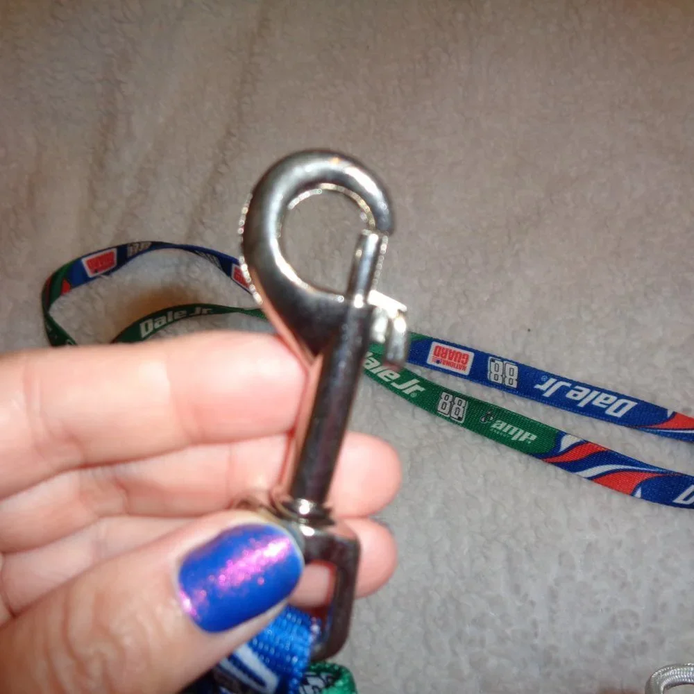 #88 Nascar Dale Earnhardt Jr Dog Leash NWT